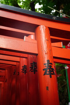 東京・日枝神社にて　3