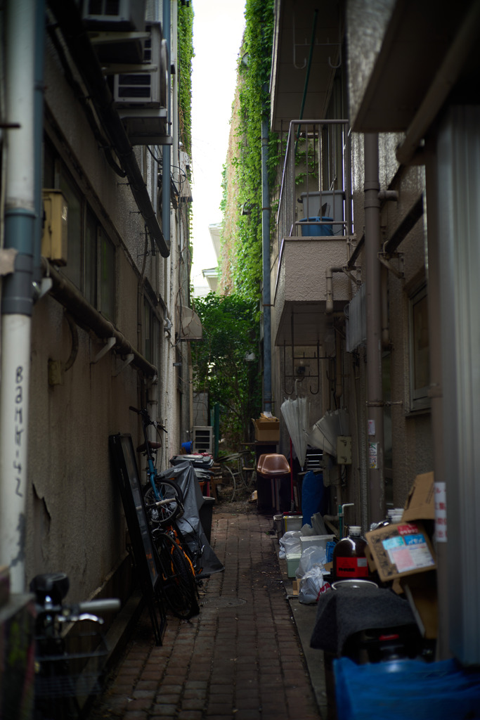 奥渋谷 スナップ 2
