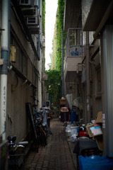奥渋谷 スナップ 2
