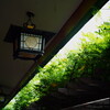 東京・日枝神社にて　4