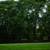 多摩中央公園にて 2