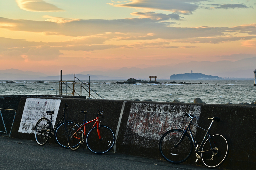 葉山芝崎海岸にて 1