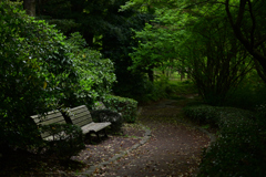 皇居東御苑にて 3