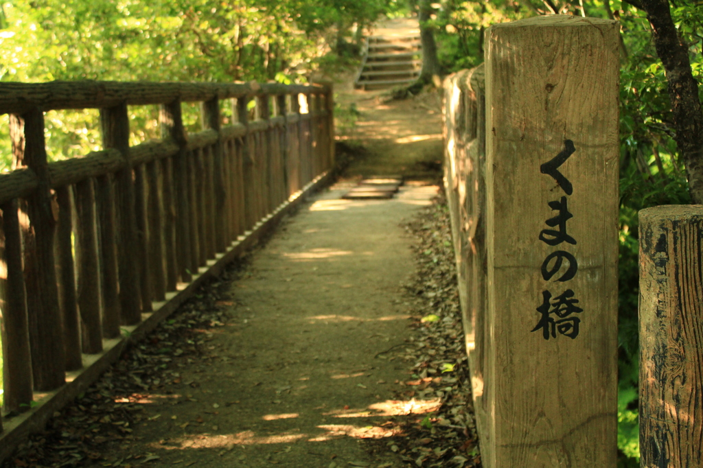 くまの橋