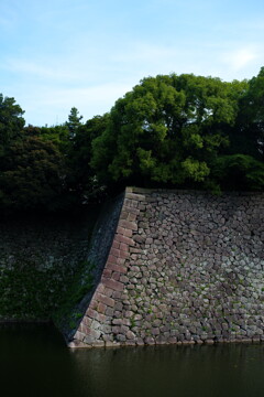 江戸城跡 石垣を望む