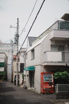 散歩スナップ 47