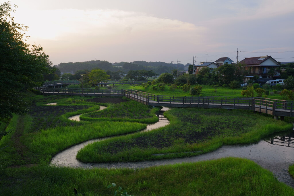 綾瀬 蟹ヶ谷公園湿生園