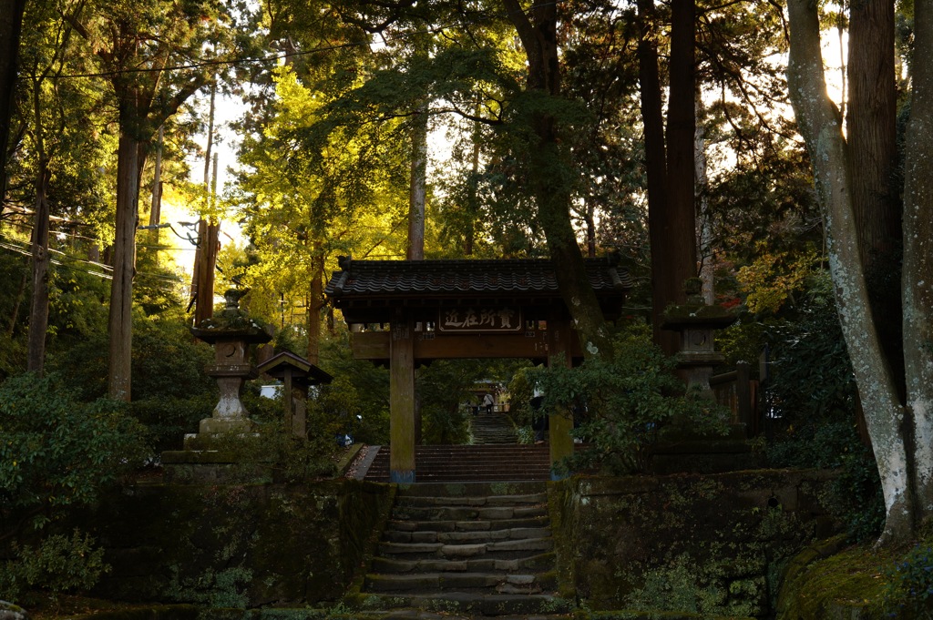 浄智寺にて 1