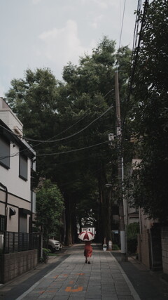 鬼子母神 スナップ 2025 1