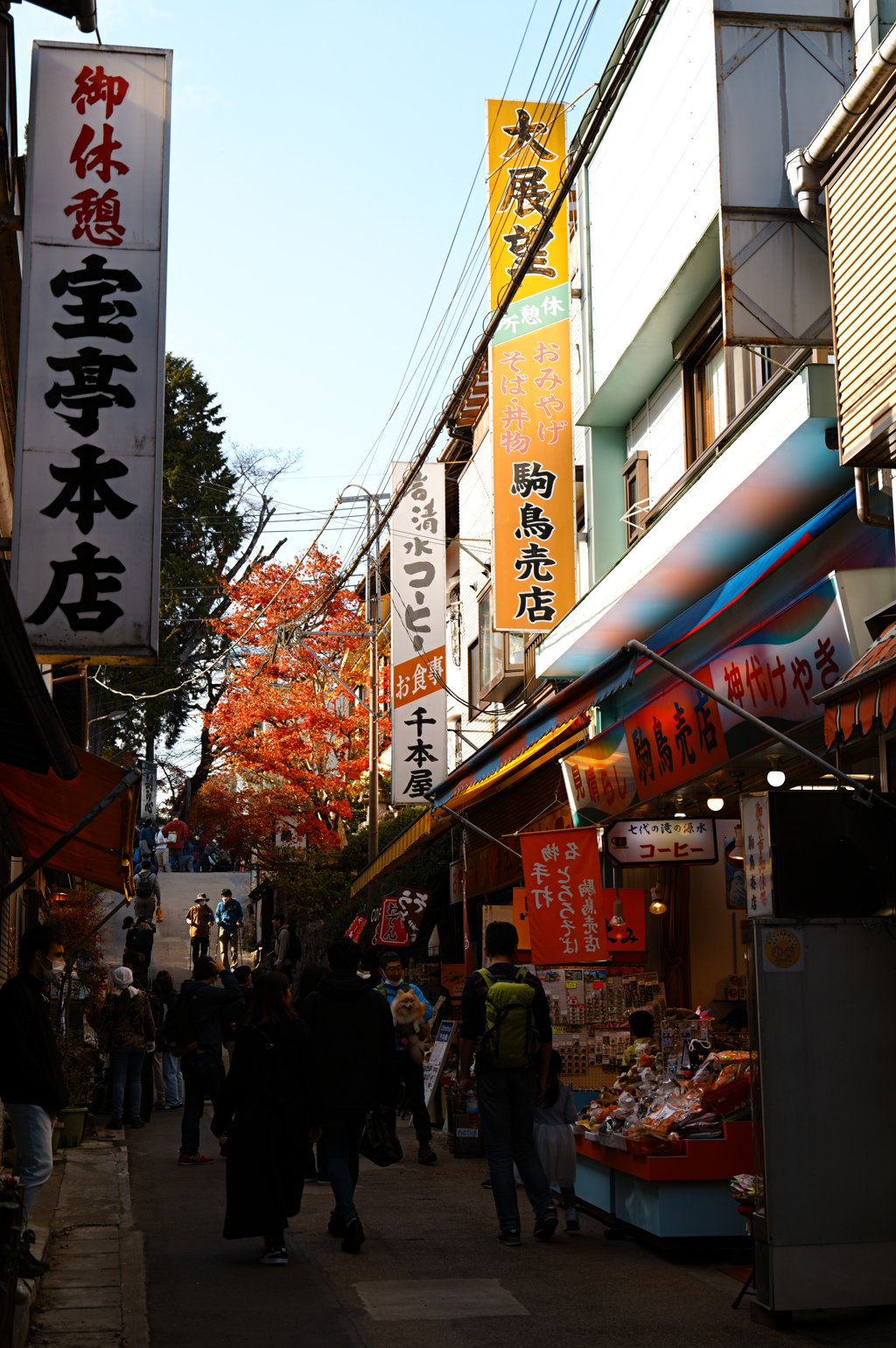 武蔵御嶽神社参道にて 1