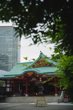 東京・日枝神社にて　5