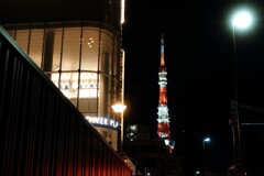 東京タワーを望む