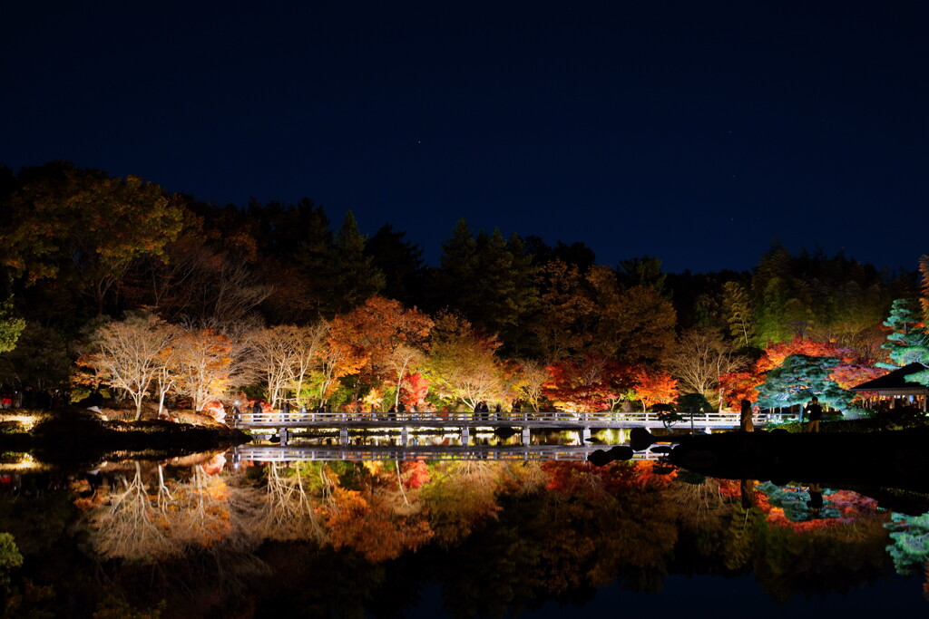昭和記念公園 秋の夜散歩2024 2