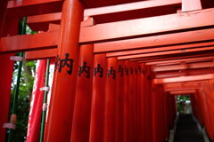 東京・日枝神社にて　2