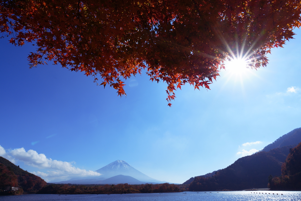 秋の精進湖にて 2025 1