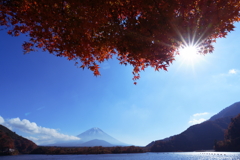 秋の精進湖にて 2025 1