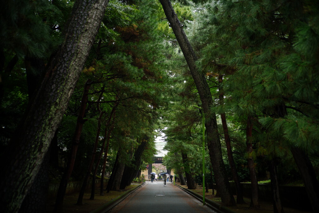 豪徳寺にて 1