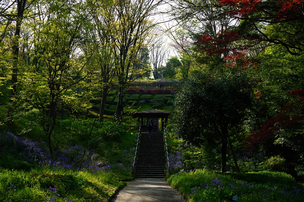 東高根森林公園にて 1