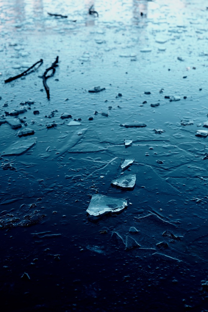 凍てつく池と氷片