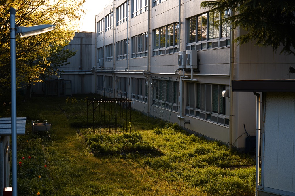 散歩スナップ 14