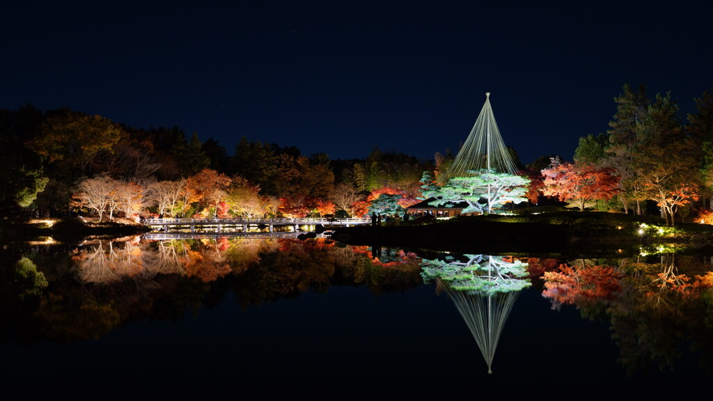 昭和記念公園 秋の夜散歩2024 1