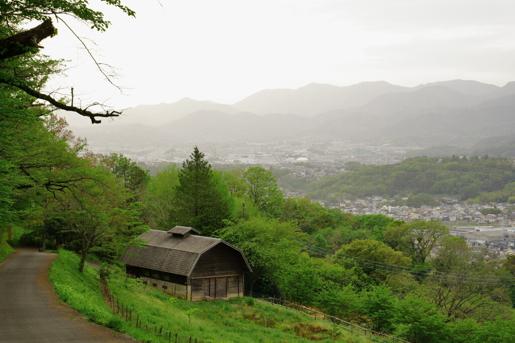 秦野・弘法山付近にて 1