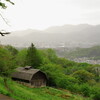 秦野・弘法山付近にて 1