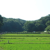 寺家ふるさと村にて 1