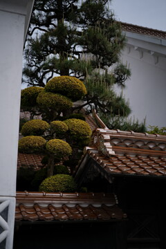 津和野にて