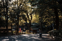 新宿十二社 熊野神社近くにて