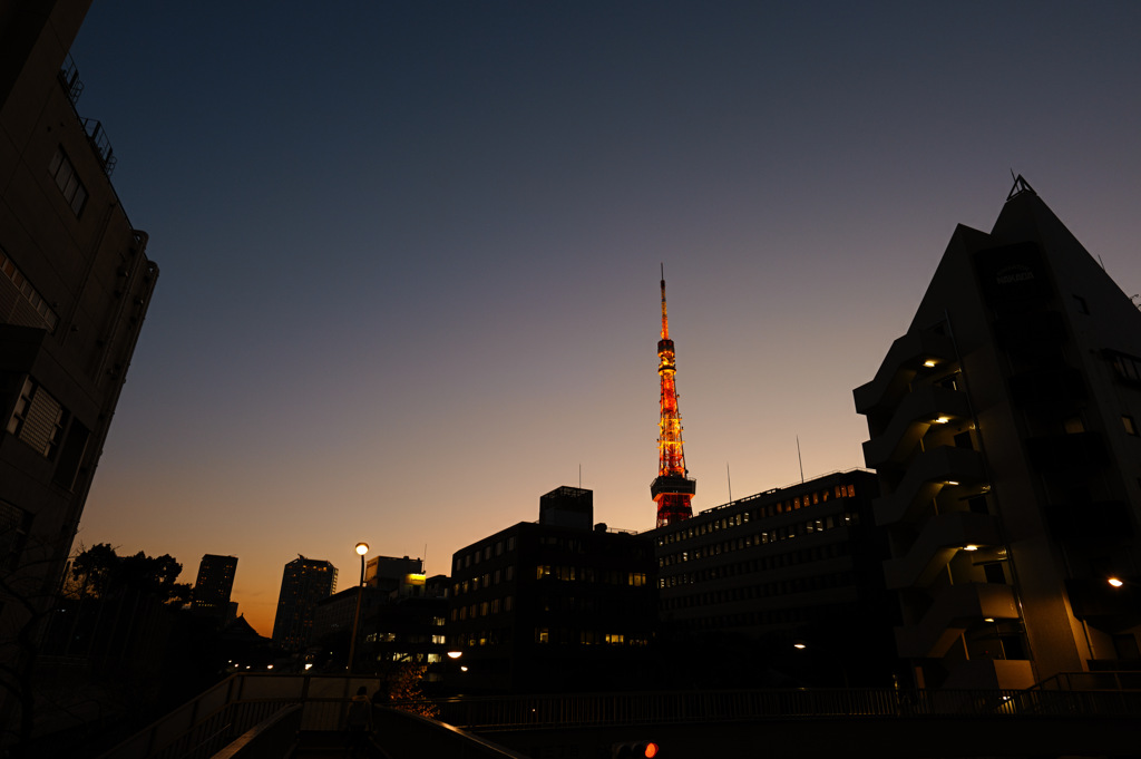 東京タワーの見える街