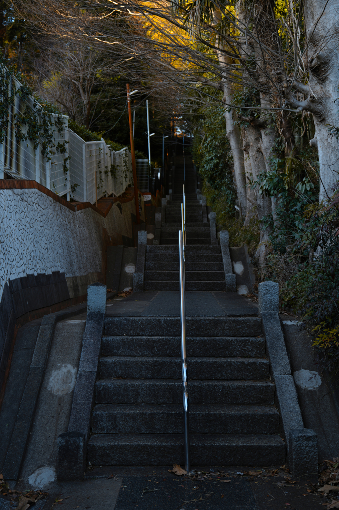 散歩スナップ 12