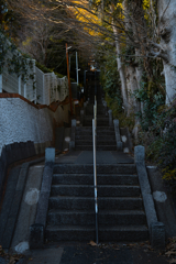 散歩スナップ 12
