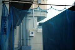 散歩スナップ 26