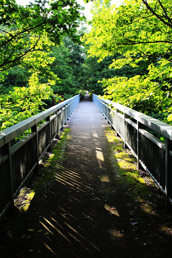 緑と橋