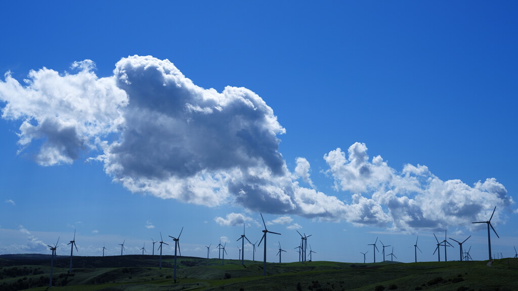 稚内 風車の道にて