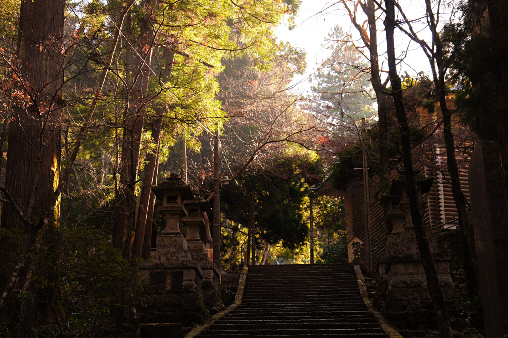 大雄山最乗寺にて 1