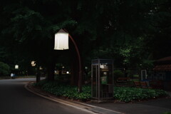 日比谷公園にて