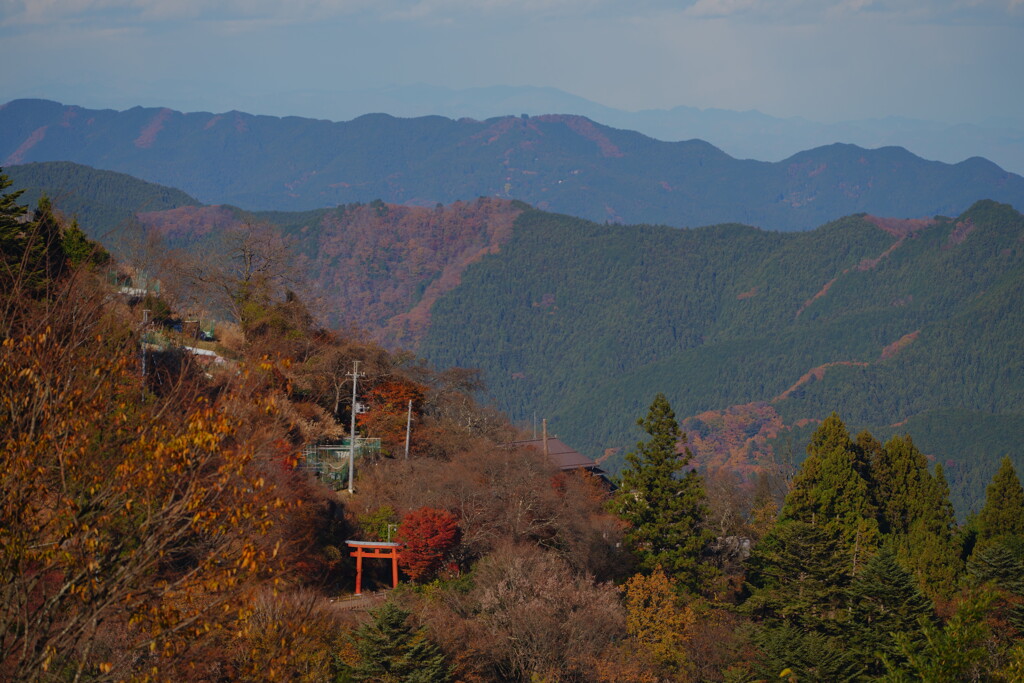 秋の御岳山にて 2024 4