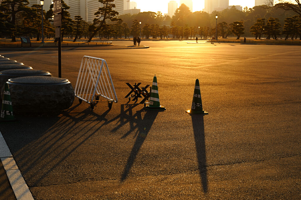 夕刻の皇居外苑にて