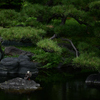 皇居東御苑にて 2