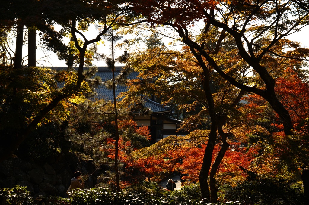 北鎌倉・円覚寺にて 紅葉1