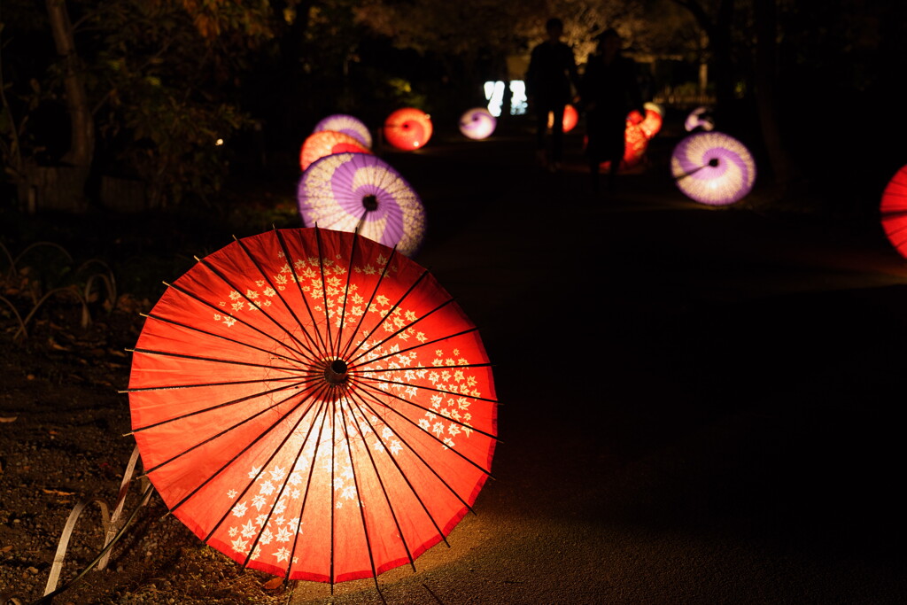 昭和記念公園 秋の夜散歩2024 6