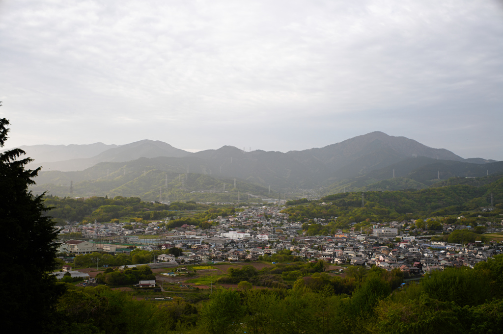 秦野・弘法山付近にて 6