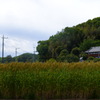 寺家ふるさと村にて 9