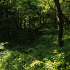 寺家ふるさと村にて 5
