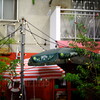 表参道 スナップ 2025 1
