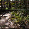 横浜公園にて　2