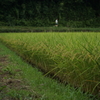 寺家ふるさと村にて ７