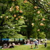 GWの代々木公園 5